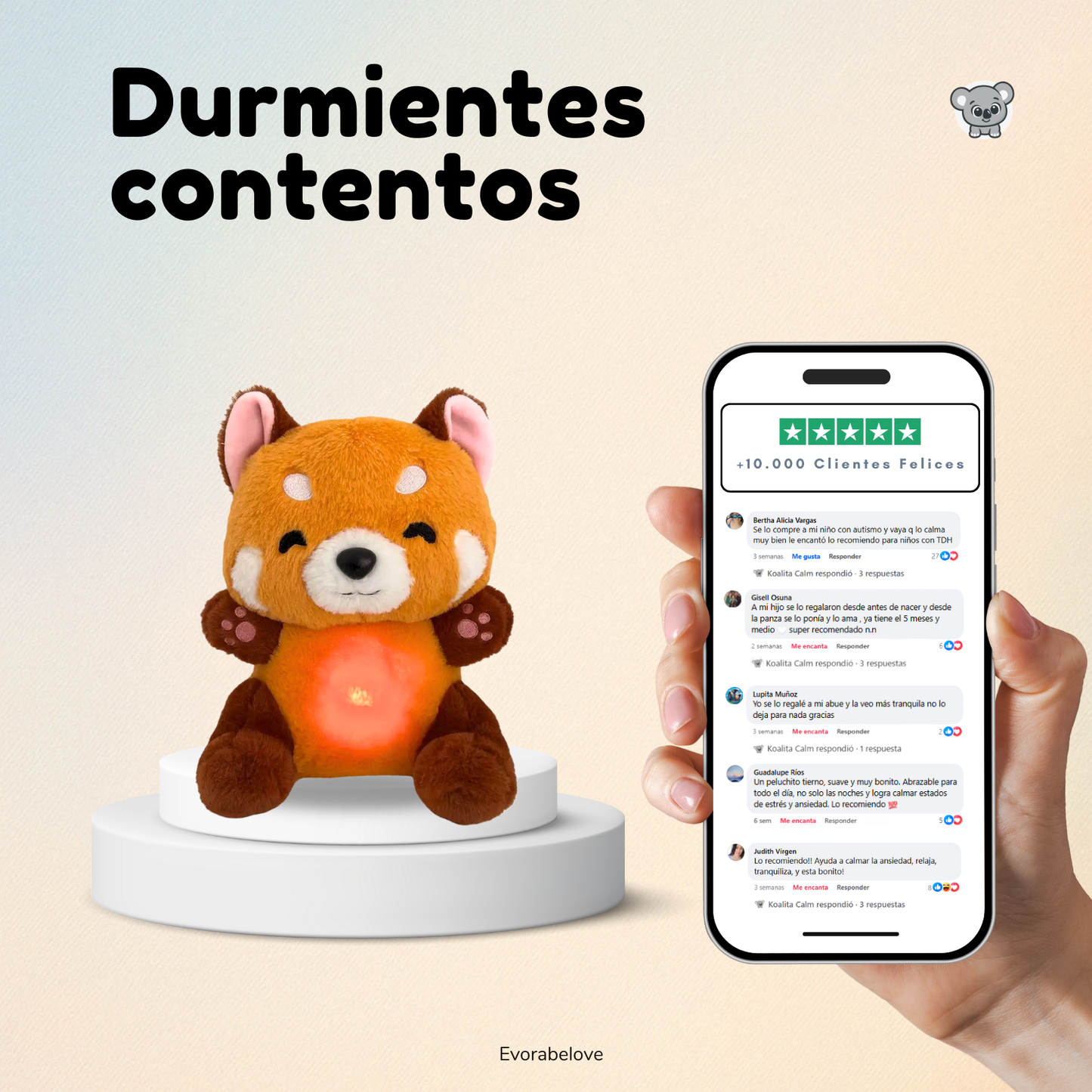 Zorrito Calm® Evora™