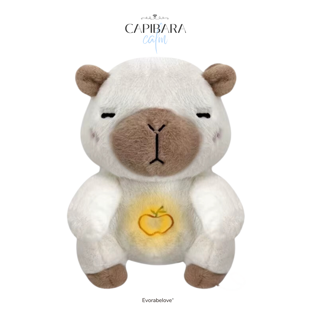 Calm´s® Evora™