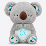 🐨 Koala