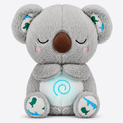 🐨 Koala