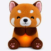🦊 Zorrito