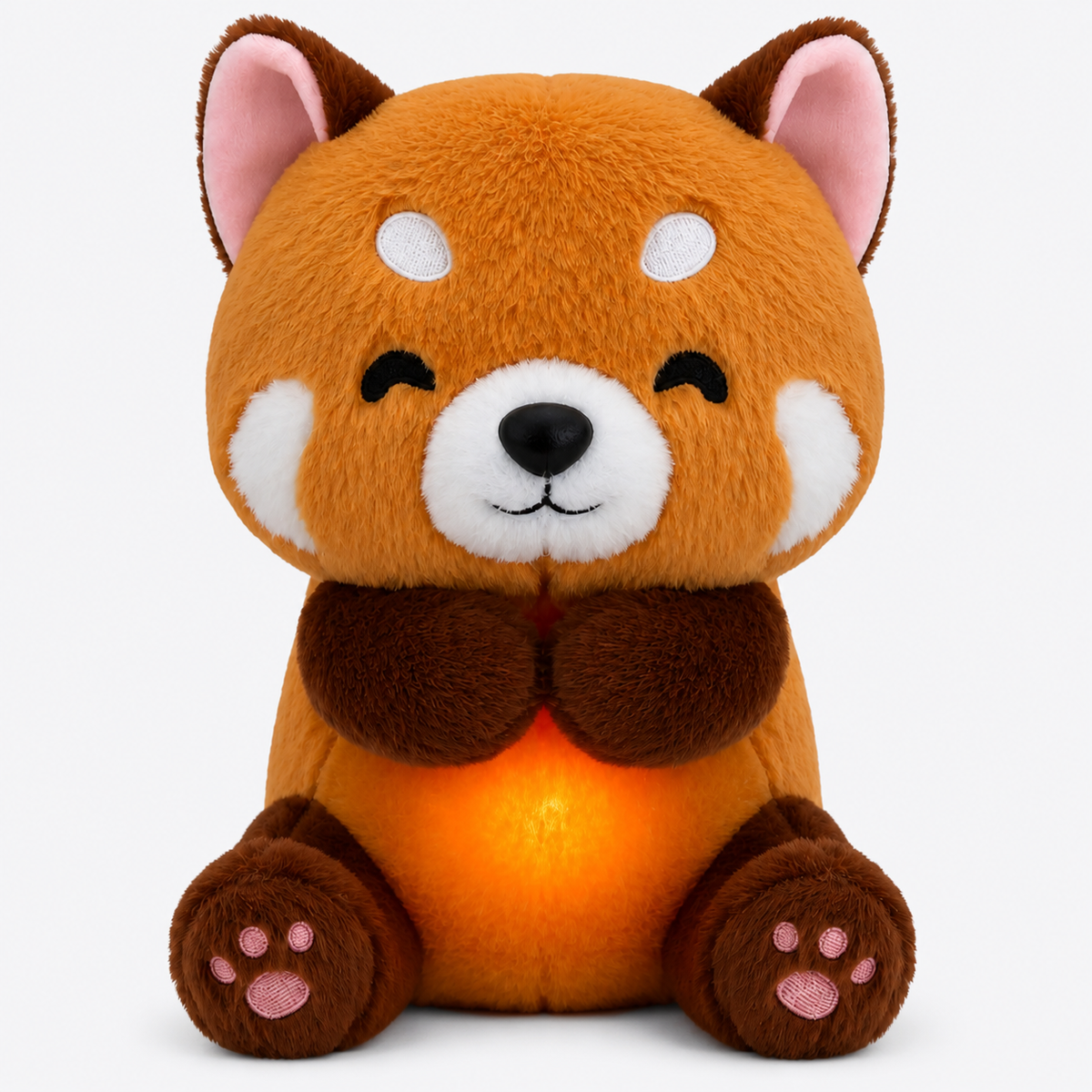 🦊 Zorrito