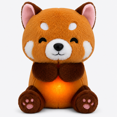 🦊 Zorrito